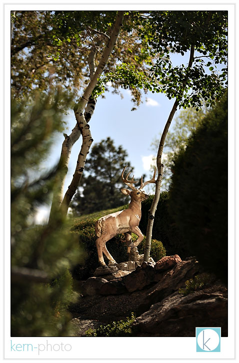 photo of deer with 1/3000 of a second flash-sync, among the first shots taken with the new radiopoppers p1, which now greatly extend wireless i-ttl or e-ttl flash triggering.<br />